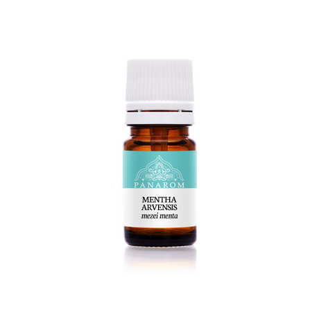 Mezei menta illóolaj - Mentha arvensis | Panarom